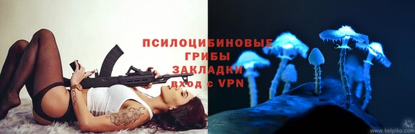 крисы Дмитровск