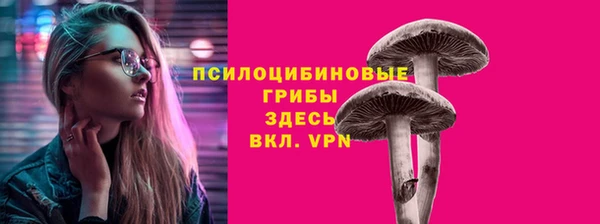 ECSTASY Дмитров