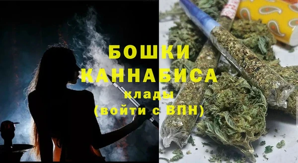 крисы Дмитровск