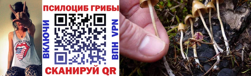 Галлюциногенные грибы мухоморы  OMG рабочий сайт  Жердевка 